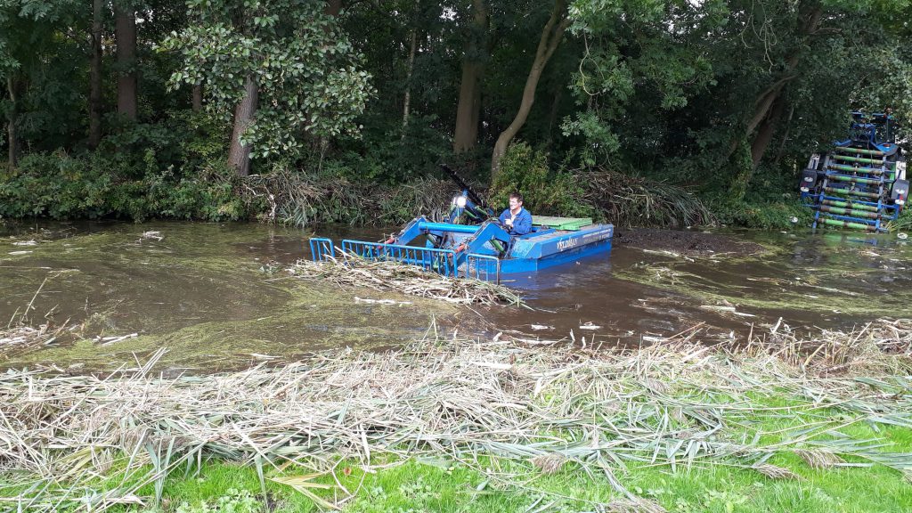 Adviseren Bel terug Communistisch Hulp bij het riet verwijderen!