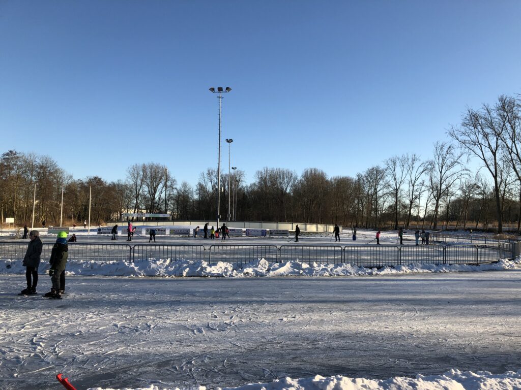 Natuurijsperiode februari 202129