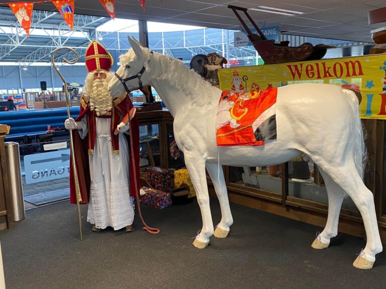 Sint die aankomt op 26/11/22